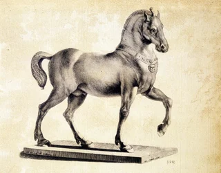 Cavalo da Basílica de San Marco em Veneza - Gravura