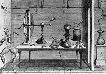 Ilustração de experiências de Luigi Galvani, físico e médico italiano (1737 - 1798) explicando a passagem de corrente elétrica movendo as pernas de um sapo.