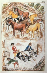 Guardiães Indianos das Vacas, do livro "Trujillo del Peru" ou "Códice Martínez Compañón", de Baltazar Martinez Compañón y Bujanda, bispo de Trujillo (1782-1785)