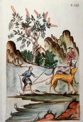 Índios lavrando um campo com cães, do livro "Trujillo del Peru" ou "Códice Martínez Compañón", de Baltazar Martinez Compañón y Bujanda, bispo de Trujillo (1782-1785)