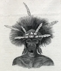 Povos indígenas da Nova Guiné (Nova Guiné): pessoa negra de Doreh. Gravura em «L