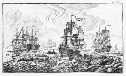 La chasse à la caleine - Gravação em "Conta clássica da indústria baleeira ártica" por Cornelis Zorgdrager
