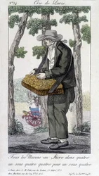 Comerciante de castanhas com açúcar - em "Cris de Paris", deb. Século XIX
