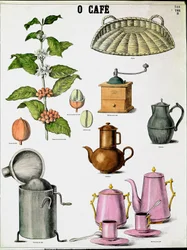 Placa ilustrando as diferentes etapas da produção de café, ramo de café, moinho e diferentes cafeteiras. Gravura da Colecção Privada do século XIX