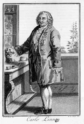Retrato de Carl Von Linné, naturalista e escritor sueco (1707 - 1778). Gravura de Sd. do século XIX.