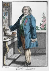 Retrato de Charles Linne (Carl von Linne, Linneus