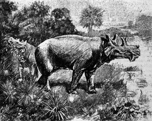 Pré-história: representação de um dinossauro Uintatherium de quatro chifres.