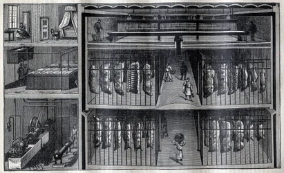 Armazéns frigoríficos para carne - Gravura de "La Science francaise