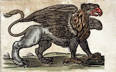 Representação de um grifo, criatura fantástica meio águia meio leão. Gravura de uma obra de Athanasius Kircher (1601 - 1680), jesuíta, orientalista e erudito.