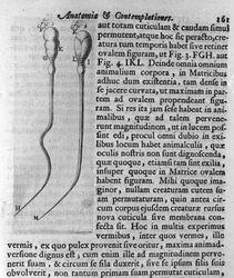 Representação de espermatozóides de cães Descrição feita pelo comerciante e cientista holandês Antoine van Leeuwenhoek (ou Leeuvenhoek Leeuwenhoeck) (ou Antoni ou Anthonie) (1632-1723). Gravura de "Investigatio Arcanorum" 1722