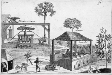 Fabrico de açúcar: Usina de açúcar e usina de açúcar - em "História Geral das Drogas, Simples e Composta" por Pomet