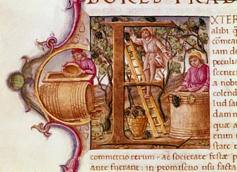 A Lettrina da Colheita do manuscrito "História Natural" do escritor romano e naturalista Plínio o Ancião (23-79 d.C.) Veneza Biblioteca Marciana do século XV