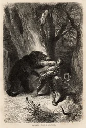 O autor, durante uma excursão ao redor de Jacksonville, é surpreendido na floresta por um urso e uma cadeia doméstica. Gravura para ilustrar a história quatro meses na Flórida, de Achille Pousselgue em 1851-1852, publicada em "Le tour du monde" 1870-1871, 