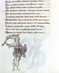 A constelação representada é a de Bouvier (ou Boots), que suporta os cabelos de Berenices com a mão esquerda. Página de um manuscrito do século XVIII baseado no manuscrito original "Astronomica" de Biasino da Parma (Blaise of Parma) (1425-1457) datado
