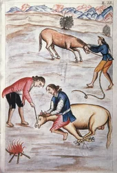 A marca do ferro vermelho de uma égua, do livro "Trujillo del Peru" ou "Códice Martínez Compañón", de Baltazar Martinez Compañón y Bujanda, bispo de Trujillo (1782-1785)