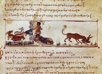 A criação de ovelhas, à direita uma lebre é devorada por um animal em miniatura retirado da ordenha de caça "The Cynegetics" de Oppian (Oppian ou Oppianus) da Síria (século III d.C.) dedicada a Caracalla. Veneza do século XI. Biblioteca Marciana