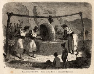 Trabalho das mulheres, moagem de azeitonas, um dos principais produtos agrícolas do Djurdjura, Argélia. Gravura para ilustrar a excursão à Grande Cabília, entre o Mediterrâneo e o Djurdjura, em 1864, pelo comandante Duhousset, em «Le Tour du mo