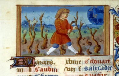 Zodíaco Áries e tamanho das árvores - Miniatura da Idade Média (ref. 137, 047r) - Solicitar permissão da Biblioteca Municipal de Toulouse (tel: 05 62 27 66 66)