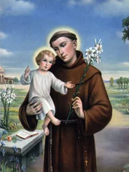 imagem piedosa: representação de Santo António de Pádua (Antonio di Padova) conhecido como o Thaumaturge (1195-1231).
