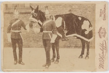 Um cavalo da 3ª