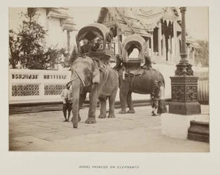 Fotografia em álbum de fotografias