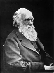 Retrato fotográfico de Charles Darwin (1809 - 1882), naturalista inglês. 1881