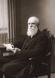 Pyotr Ilyich Tchaikovsky (Tchaikovsky