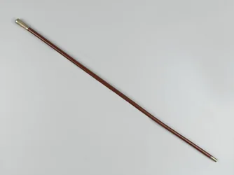 Regimental cane, 3º Regimento das Índias Ocidentais