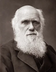O naturalista inglês Charles Robert Darwin (1809-1882)