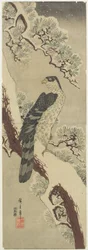 (Hawk on Pine Branch, Winter), início do século XIX