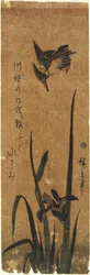 (Iris e Kingfisher), 1830-1858