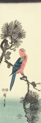 (Papagaio no pinheiro), 1847-1852