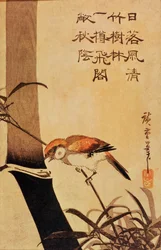 Pássaro e bambu, c.1830, (impressão do woodblock da cor)