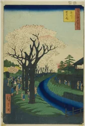 Flores na margem do rio Tama (Tamagawa-zutsumi no hana), da série "Cem vistas famosas de Edo (Meisho Edo hyakkei)"