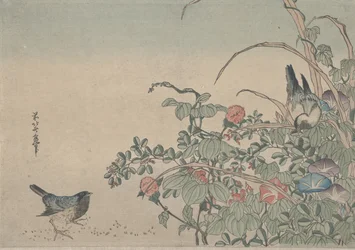 Pássaros-azuis com glórias-da-manhã e lespedeza, c. 1833