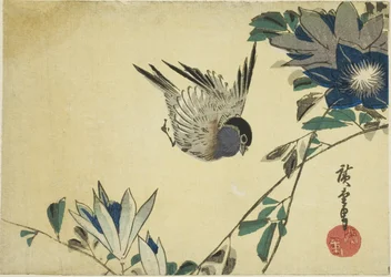 Bullfinch e clematite