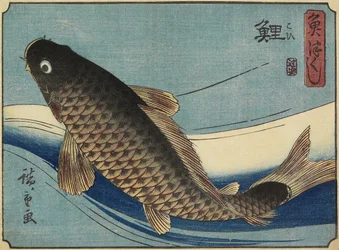 Carpa, 1830-1844