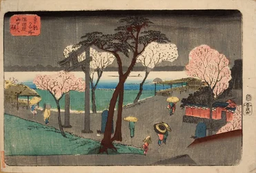 Cherry Trees in Rain no aterro do rio Sumida. Sumida zutsumi uchû no sakura