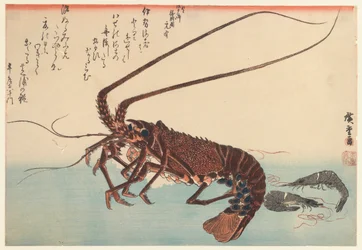 Lagostins e dois camarões, da série Great Fish (iniciada em 1832), 1840 (impressão em xilogravura a cores)