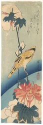 Gelber Vogel mit Haube und Hibiskus