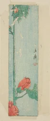 Envelope com hibisco