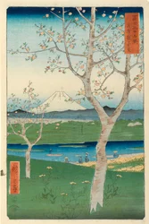 Fuji de Koshigaya, Musashi, n.º 14 da série «36 vistas do monte Fuji», «Fuji Saryu Rokkei»