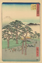 Fujisawa-Celebração