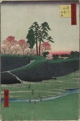 Monte Gotenyama, Shinagawa, abril de 1856
