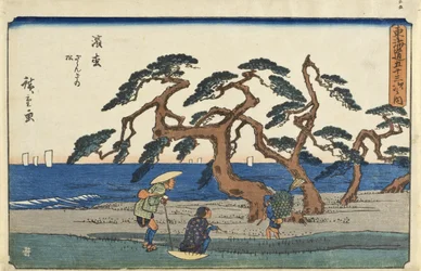 Hamamatsu: os pinheiros murmurantes