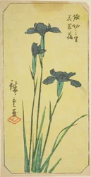 Introduzido em Horikiri Viage (Horikiri no Sato Hanadokorobu), ``Horikiri no Sato Hanadokorobu
