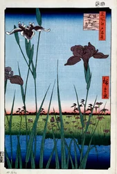 Íris em Horikiri cem vistas famosas de Edo, 1856-1858.