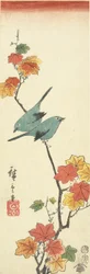 Olhos-brancos-japoneses num ramo de ácer, 1854