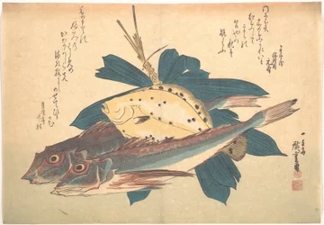 Peixes Kanagashira e Karei, da série Uozukushi (Todas as variedades de peixes)