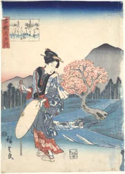 Koka: Seis Rios Tama